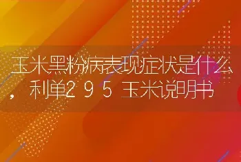 玉米黑粉病表现症状是什么