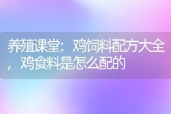 养殖课堂:鸡饲料配方大全