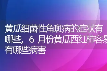 黄瓜细菌性角斑病的症状有哪些