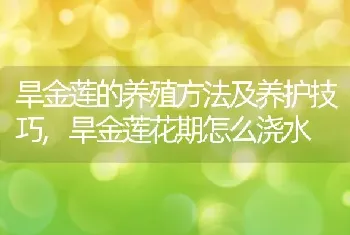 旱金莲的养殖方法及养护技巧