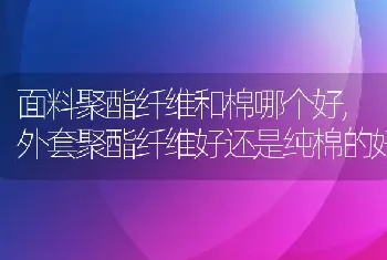 面料聚酯纤维和棉哪个好