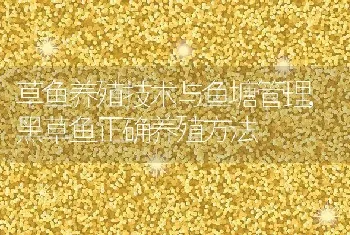 草鱼养殖技术与鱼塘管理