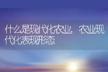 什么是现代化农业