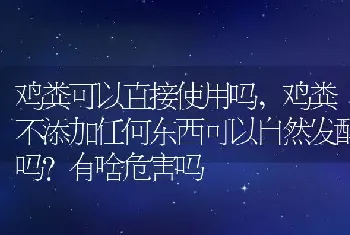 鸡粪不添加任何东西可以自然发酵吗有啥危害吗