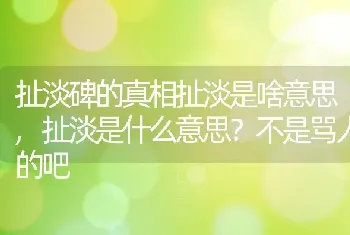 扯淡是什么意思不是骂人的吧