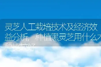 灵芝人工栽培技术及经济效益分析