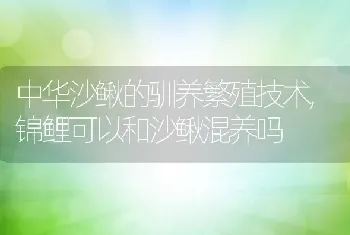 中华沙鳅的驯养繁殖技术