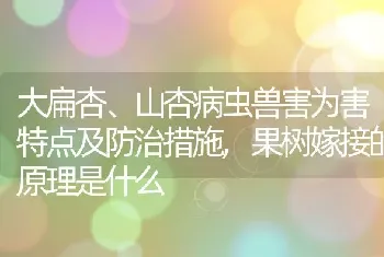 大扁杏、山杏病虫兽害为害特点及防治措施