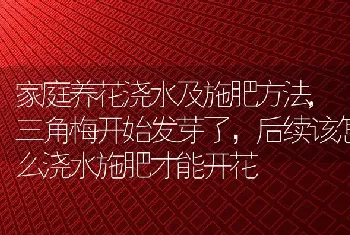 家庭养花浇水及施肥方法