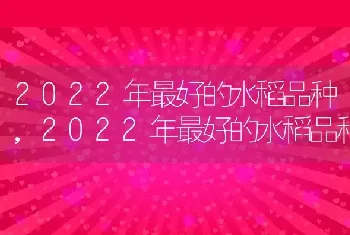 2022年最好的水稻品种