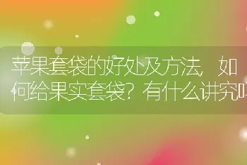 如何给果实套袋有什么讲究吗