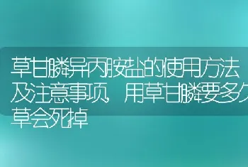 草甘膦异丙胺盐的使用方法及注意事项