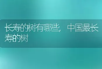 长寿的树有哪些