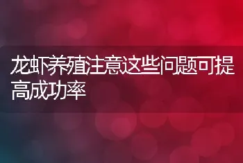 龙虾养殖注意这些问题可提高成功率