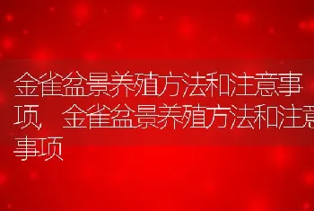 金雀盆景养殖方法和注意事项