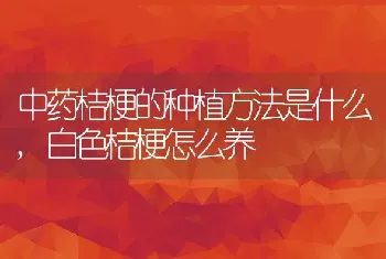 中药桔梗的种植方法是什么