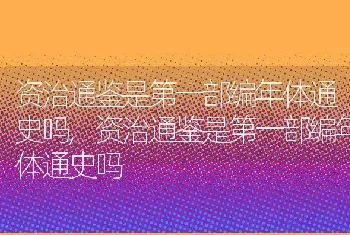 资治通鉴是第一部编年体通史吗