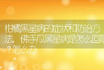 佛手瓜黑星病是怎么回事怎么办