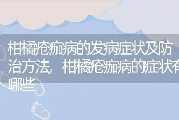 柑橘疮痂病的发病症状及防治方法