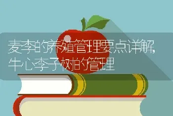 麦李的养殖管理要点详解