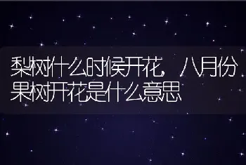 梨树什么时候开花