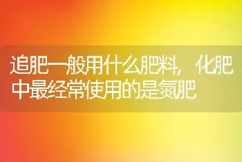 追肥一般用什么肥料