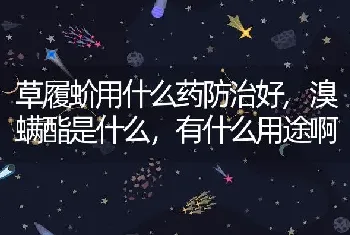 草履蚧用什么药防治好