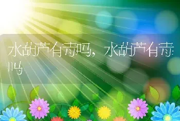 水葫芦有毒吗