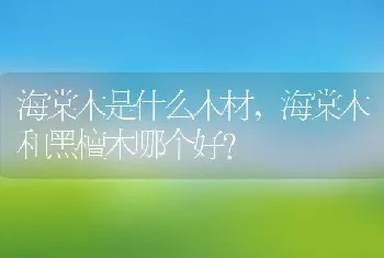 海棠木和黑檀木哪个好