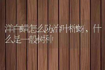 洋白蜡怎么防治叶棉蚜