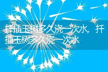 扦插玉树多久浇一次水