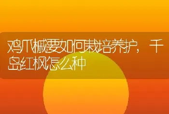 鸡爪槭要如何栽培养护