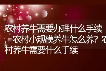 农村小规模养牛怎么养农村养牛需要什么手续