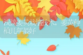 浅谈姜黄栽培技术