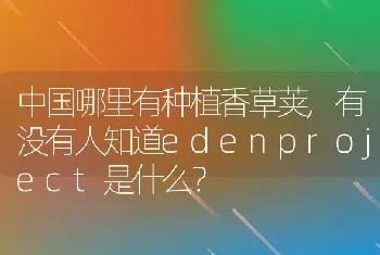 有没有人知道edenproject是什么