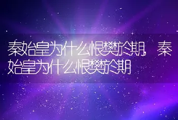 秦始皇为什么恨樊於期