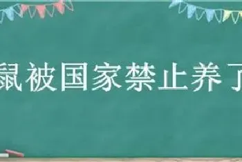 竹鼠被国家禁止养了吗