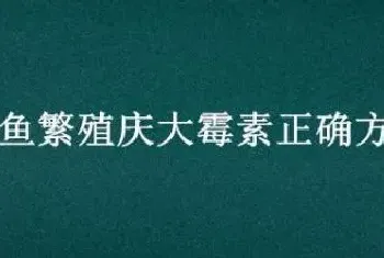 燕鱼繁殖庆大霉素正确方法