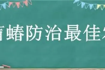 绿盲蝽防治最佳农药