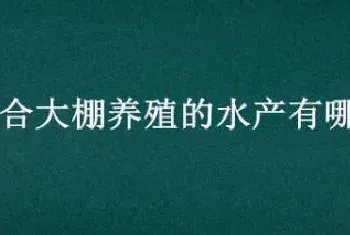 适合大棚养殖的水产有哪些