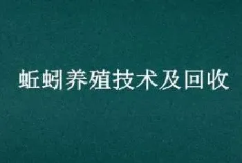 蚯蚓养殖技术及回收