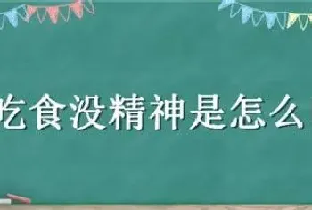 羊不吃食没精神是怎么回事