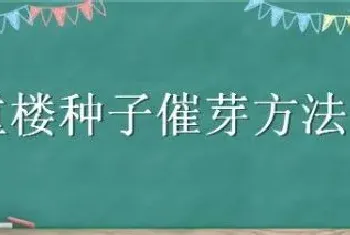 重楼种子催芽方法