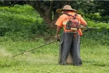 草甘膦除草剂几天见效