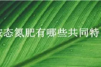 铵态氮肥有哪些共同特点