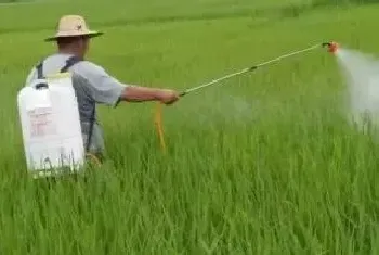 农药兑水以后多久失效