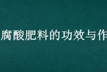 黄腐酸肥料的功效与作用