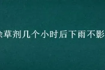 打上除草剂几个小时后下雨不影响效果