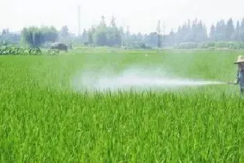 野老水稻除草剂说明