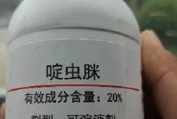 吡虫啉可以和啶虫脒一起使用吗(吡虫啉好还是啶虫脒好)